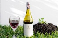 Le Tread Softly Pinot Noir 2023